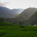 Green rice fields  screen for extension Chrome web store in OffiDocs Chromium