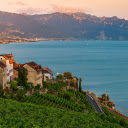 Green riverside house  screen for extension Chrome web store in OffiDocs Chromium