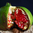 Green shell and red seeds  screen for extension Chrome web store in OffiDocs Chromium