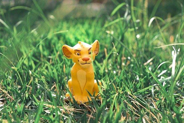Free download Green Simba Nature -  free photo or picture to be edited with GIMP online image editor