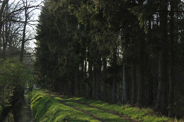 ດາວ​ໂຫຼດ​ຟຣີ Green Spring Nature - ຮູບ​ພາບ​ຟຣີ​ຫຼື​ຮູບ​ພາບ​ທີ່​ຈະ​ໄດ້​ຮັບ​ການ​ແກ້​ໄຂ​ທີ່​ມີ GIMP ອອນ​ໄລ​ນ​໌​ບັນ​ນາ​ທິ​ການ​ຮູບ​ພາບ​