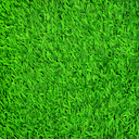 Green Tab Theme  screen for extension Chrome web store in OffiDocs Chromium