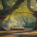 Green tree road wallpaper  screen for extension Chrome web store in OffiDocs Chromium