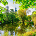 Green trees around the lake  screen for extension Chrome web store in OffiDocs Chromium