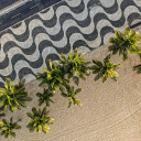 Green Trees Near the Road  screen for extension Chrome web store in OffiDocs Chromium