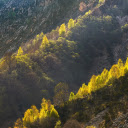 Green trees on the mountain  screen for extension Chrome web store in OffiDocs Chromium