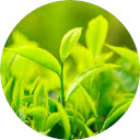 Green Wallpaper  screen for extension Chrome web store in OffiDocs Chromium