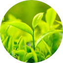 Green Wallpaper HD New Tab  screen for extension Chrome web store in OffiDocs Chromium