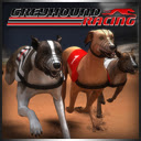 Greyhound Racing Game  screen for extension Chrome web store in OffiDocs Chromium