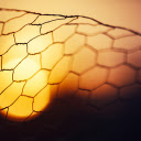 Grid and sunset  screen for extension Chrome web store in OffiDocs Chromium