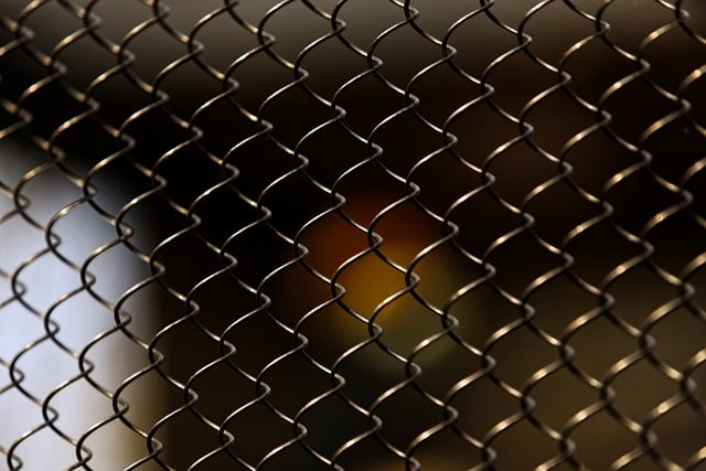 Free download grid texture pattern architecture free picture to be edited with GIMP free online image editor