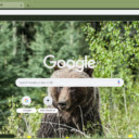 Grizzly Bear  screen for extension Chrome web store in OffiDocs Chromium