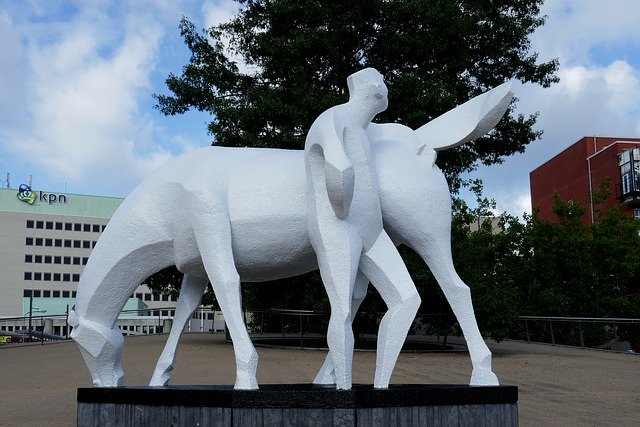 ดาวน์โหลดฟรี Groningen Horse - ภาพถ่ายหรือรูปภาพฟรีที่จะแก้ไขด้วยโปรแกรมแก้ไขรูปภาพออนไลน์ GIMP