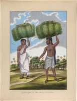 Free download Grossmonger, in Low Cast of Malabar, from Indian Trades and Castes free photo or picture to be edited with GIMP online image editor