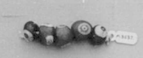 Free download Group of 5 beads free photo or picture to be edited with GIMP online image editor