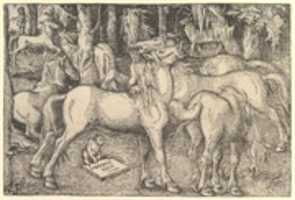 Free download Group of Seven Horses free photo or picture to be edited with GIMP online image editor