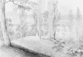 Free download Grove of Poplars with a Memorial Bust, David Hosack Estate, Hype Park, New York (from Hosack Album) free photo or picture to be edited with GIMP online image editor