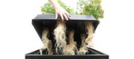 Free download Grow LED | Leuchtdioden | Grow Guru free photo or picture to be edited with GIMP online image editor