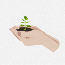 GROW Theme  screen for extension Chrome web store in OffiDocs Chromium