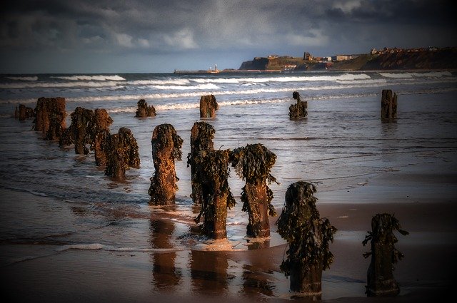 Free download Groynes Water Seaside -  free photo or picture to be edited with GIMP online image editor