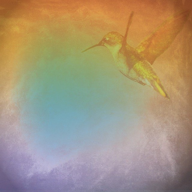 Free download Grunge Background Hummingbird -  free illustration to be edited with GIMP free online image editor