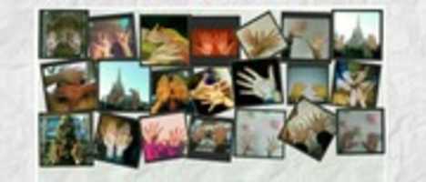 Free download grupo the free photo or picture to be edited with GIMP online image editor
