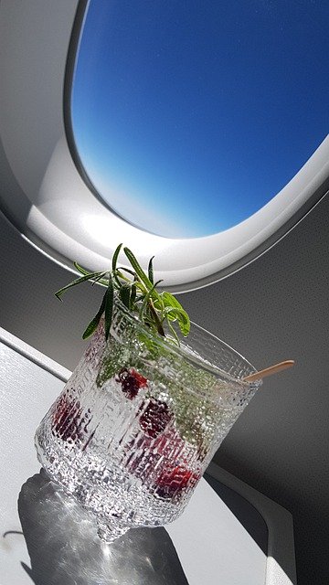 Kostenloser Download von GT Gin And Tonic Finnair Business - kostenloses Foto oder Bild zur Bearbeitung mit GIMP Online-Bildbearbeitung