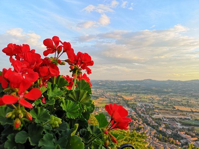 Free download Gubbio Geranium Landscape -  free photo or picture to be edited with GIMP online image editor