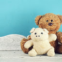 Gấu bông  screen for extension Chrome web store in OffiDocs Chromium