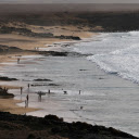 Guests swim at the beach  screen for extension Chrome web store in OffiDocs Chromium