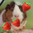 Guinea Pig  screen for extension Chrome web store in OffiDocs Chromium