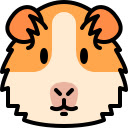Guinea Pig Youtube Progression Bar  screen for extension Chrome web store in OffiDocs Chromium