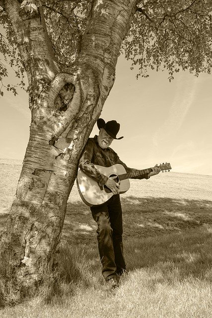 Free download Guitar Guitarist Countryside -  free photo or picture to be edited with GIMP online image editor
