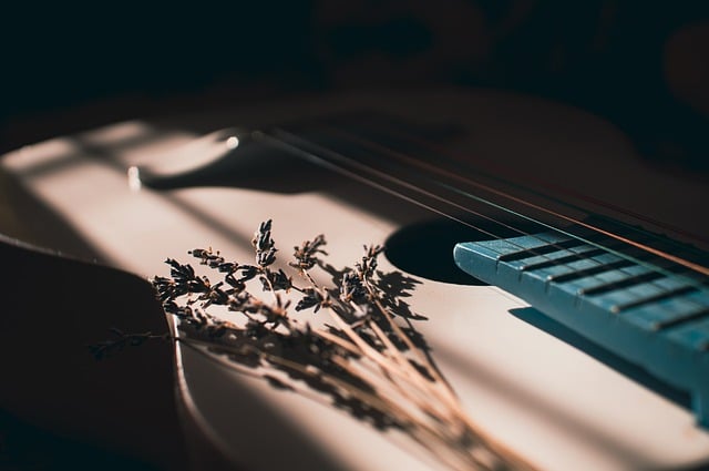 Free download guitar lavender strings flowers free picture to be edited with GIMP free online image editor