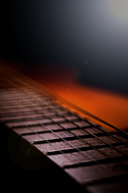 Free download guitar tool music strings free picture to be edited with GIMP free online image editor