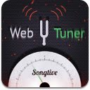 Guitar Tuner for Chrome  screen for extension Chrome web store in OffiDocs Chromium