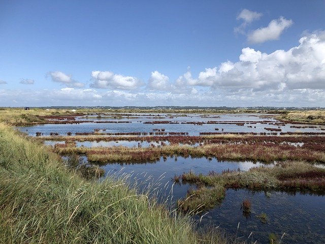 Free download Guérande Marsh Salt -  free free photo or picture to be edited with GIMP online image editor