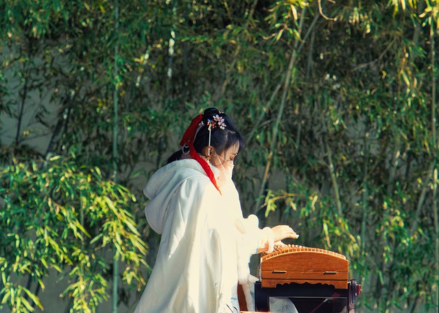 Free download guzheng woman musical instrument free picture to be edited with GIMP free online image editor