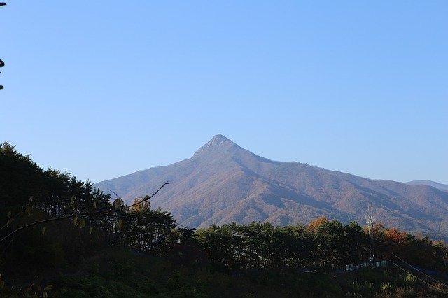 Free download Gwangyang Fall Travel Sense Farm -  free photo or picture to be edited with GIMP online image editor