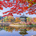 Gyeongbokgung with maple tree in autumn  screen for extension Chrome web store in OffiDocs Chromium