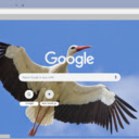 HAC+  screen for extension Chrome web store in OffiDocs Chromium