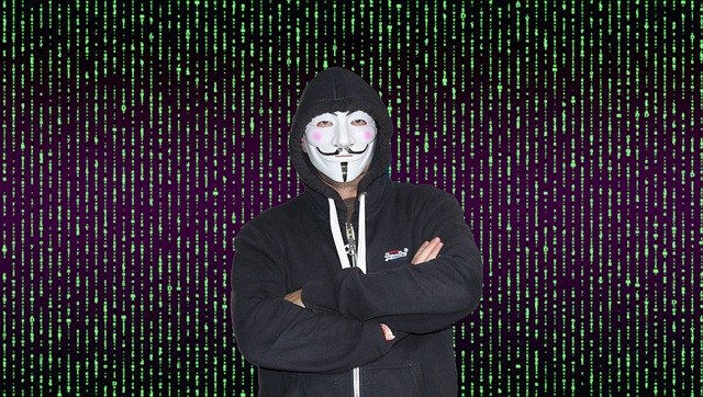 Free download Hacker Programmer Code -  free photo or picture to be edited with GIMP online image editor