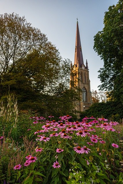 Libreng pag-download ng Hagakyrkan Church Flower - libreng larawan o larawan na ie-edit gamit ang GIMP online na editor ng imahe