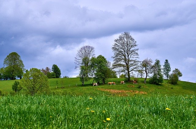 Free download Hagertal Tyrol Agriculture -  free photo or picture to be edited with GIMP online image editor