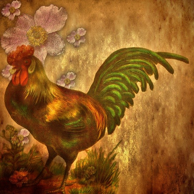 Free download Hahn Background Retro -  free photo or picture to be edited with GIMP online image editor