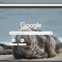 Hai cau xam  screen for extension Chrome web store in OffiDocs Chromium