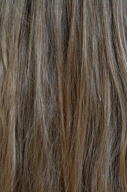 تنزيل مجاني Hair Human Blond Dark - صورة مجانية أو صورة لتحريرها باستخدام محرر الصور عبر الإنترنت GIMP