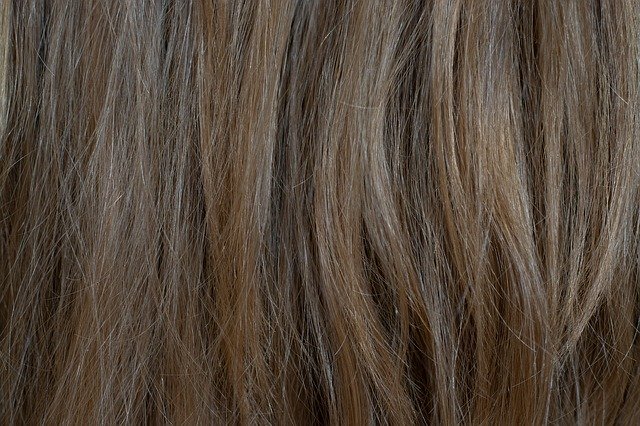 Free download Hair Medium Blonde Blond -  free photo or picture to be edited with GIMP online image editor