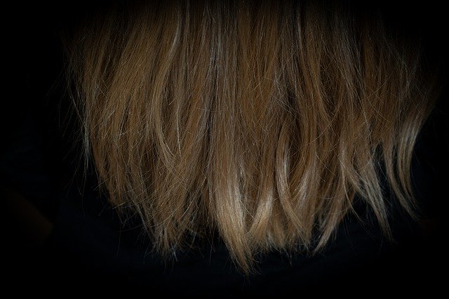 Free download Hair Tips Blond Dark -  free photo or picture to be edited with GIMP online image editor