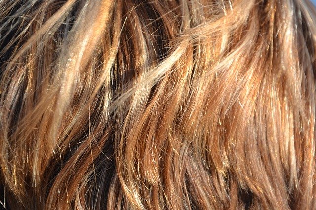 تنزيل مجاني لشعر شعرك يسلط الضوء على صورة مجانية للجمال ليتم تحريرها باستخدام محرر الصور المجاني على الإنترنت من GIMP